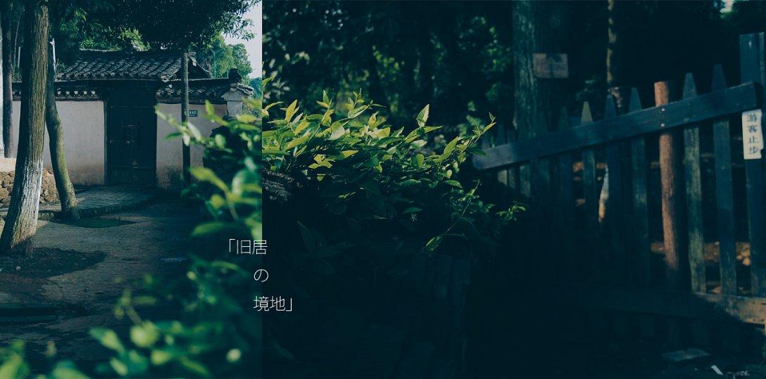 划龙舟吃粽子