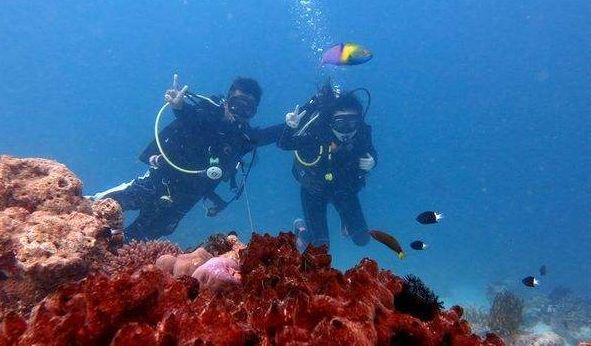 山东广播电视台超写实手语数字主持人！海蓝解锁新身份