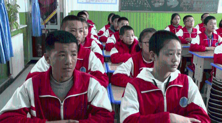 射击红色鸟