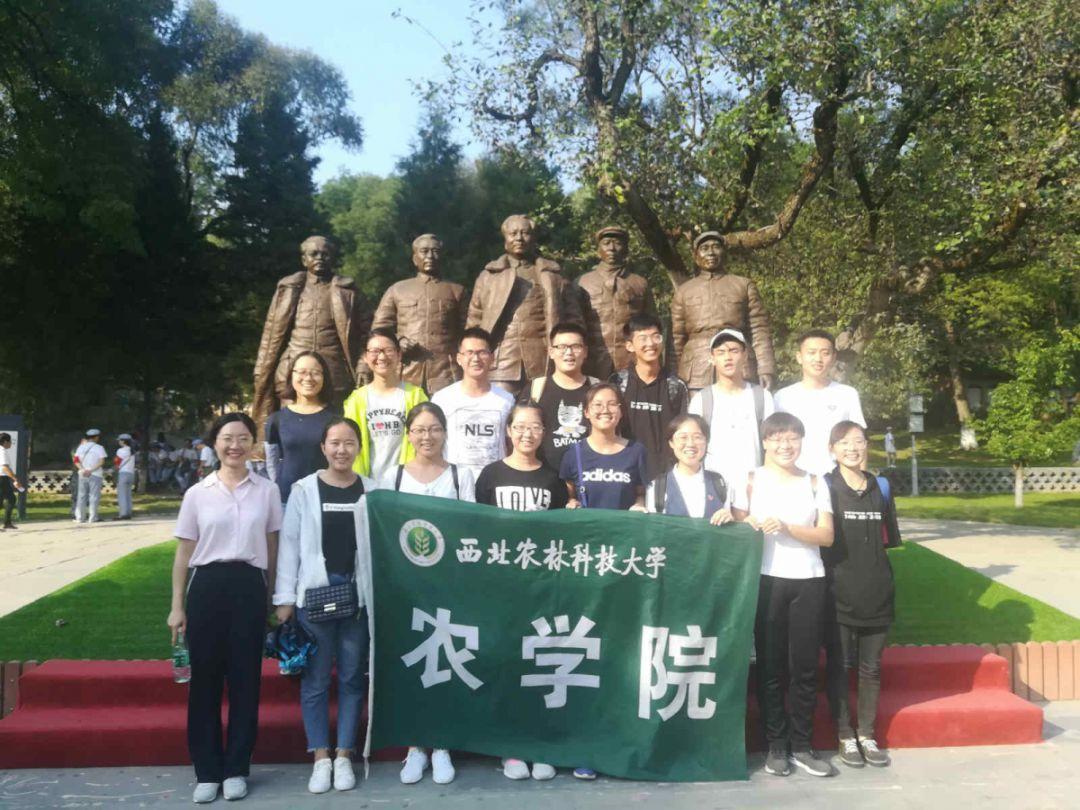 在河南省青少年击剑锦标赛中获佳绩