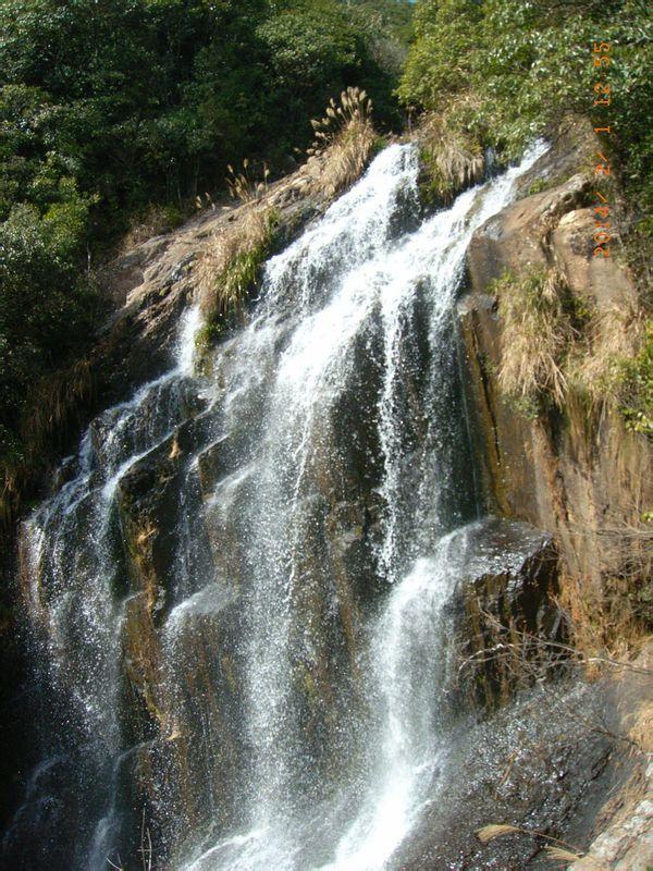 逃离海岛村