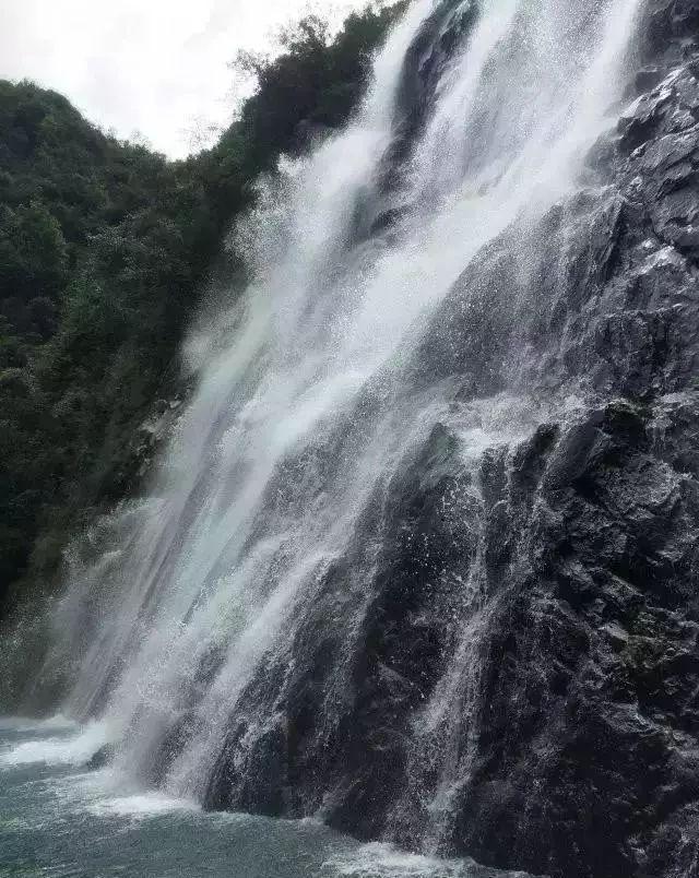 上海胜福建！王哲林蜕变，血布盘活全队，刘铮+添荣+替补2将稳健