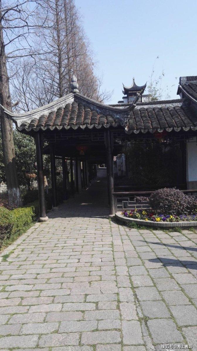 饥饿的松鼠救援