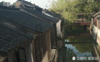 阴暗森林