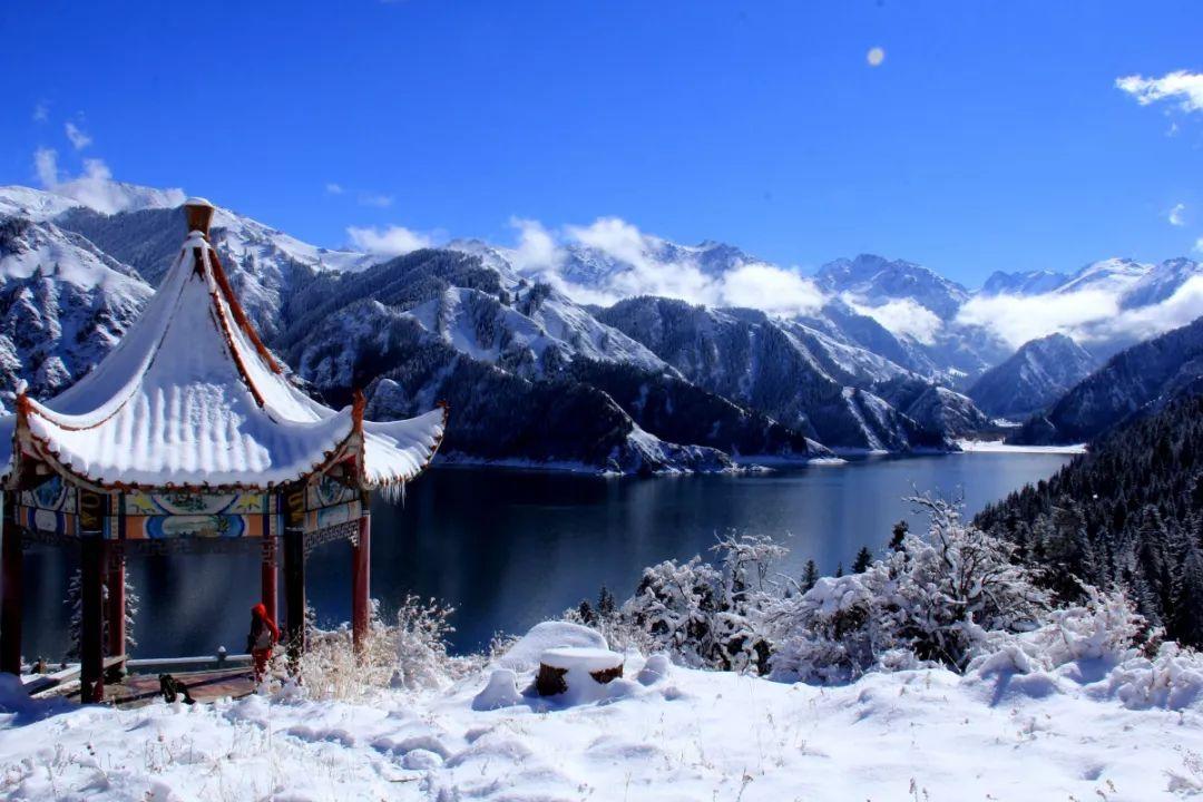 新忍出击